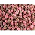 Cola Pips 1kg Share Bag by The Gourmet Sweet Company