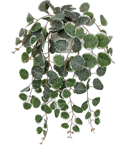 Künstliche Hängepflanze Mit Topf (ca. 65 Cm) – Dunkelgrün, Kunststoff, Für Badezimmer, Fensterbank, Regal, Balkon – Pflegeleicht & Realistisch