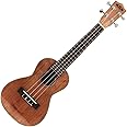 Kala KACG - Ukelele, clavijero de engranajes, acabado brillo