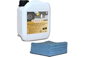 TOUTPRATIQUE Guard Industrie - ProtectGuard EM Premium Effet Mouillé - Imperméabilisant Hydrofuge, Ravive Couleur - Protection contre l’Eau et les Taches - Bidon - 2 L - Traite 40m2 + 10 Chiffons en Microfibres
