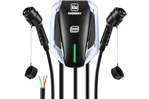 EVJUICION 7 kW+7 kW - Estación de carga para vehículo eléctrico monofásico (32 A, rápido, Wallbox con dos conectores hembra, carga dos coches simultáneamente, 5 m)