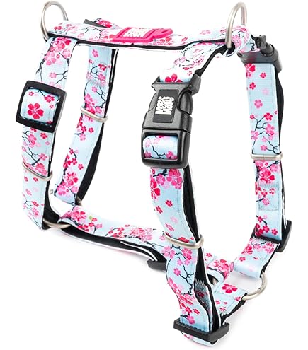 Max & Molly 4894512021013 Little Monsters hondenharnas comfortabel geurneutraal neopreen verliesbeschermingsprogramma voor huisdieren extra goed hondenharnas, XS, 55 g Max & Molly 4894512021013 Little Monsters hondenharnas comfortabel geurneutraal neopreen verliesbeschermingsprogramma voor huisdieren extra goed hondenharnas, XS, 55 g
