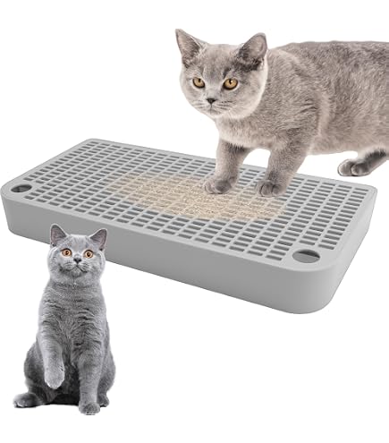 katzentoilette mit sieb Katzentoilette XXL Katzenklo Haubentoilette mit Deckel und Sieb – Hermex.ch main image 0