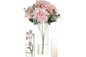 ‎GLASSEAM Deko Vase Glas Zylinder Tischdeko: Glasseam 3 Stück/Satz Blumen Vasen Set Modern Glasvase Rund Glaszylinder Blumenvase Tulpenvase Tischvase Fuer Hochzeit Wohnzimmer Tulpen Rose, 15/20/25cm Hoch