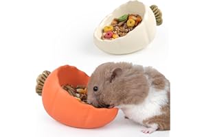 Kelivi Hamster Food Bowl, 2 Packs Ceramic Carrot Hamster Bowls Guinea Pig Food Dish Water Bowls for Gerbil Mouse Chinchilla Hedgehog