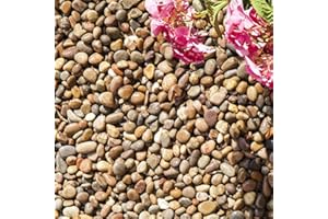 STRATA STONES Strata Scottish Pebbles For Home Office or Garden Decorative Gravels Aggregates Natural Tumbled Smooth Eco-Friendly Stones Mix Size Between 25-50MM (5 kg)