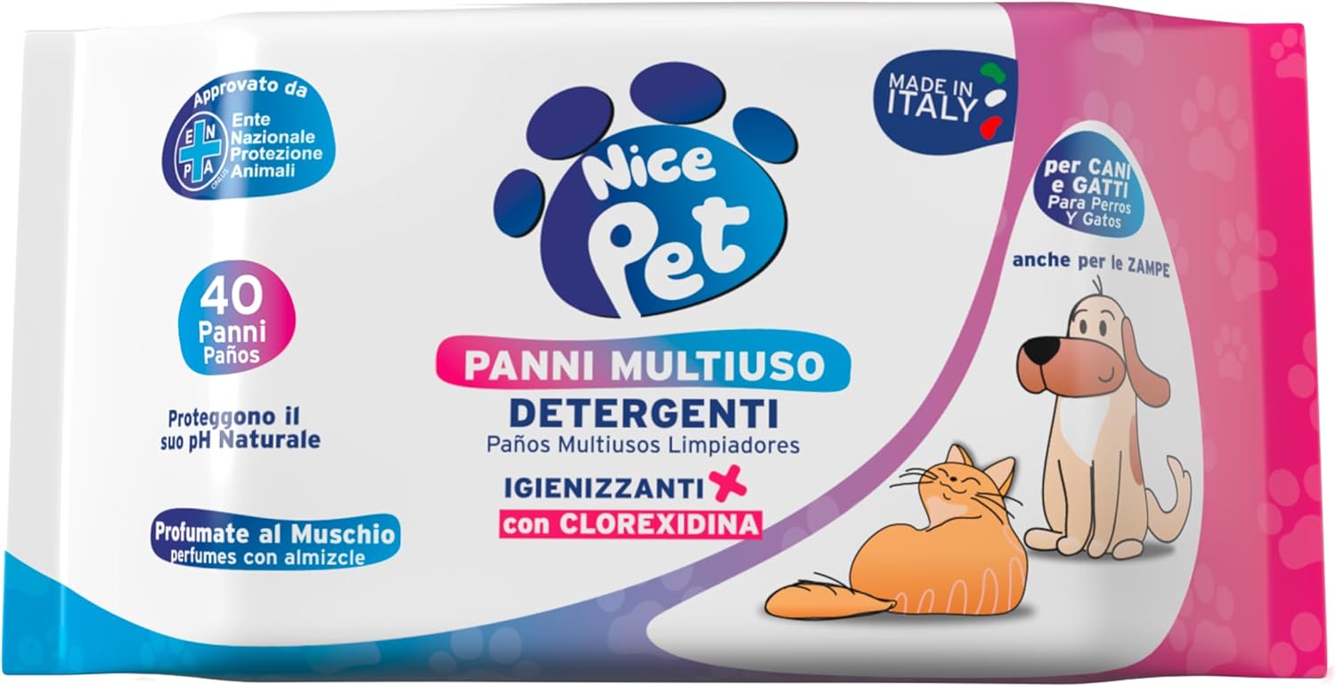 Vue 11