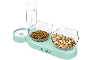 Itingy 3-In-1 Cat Food and Water Bowl Set, Cat Bowls with Stand Tilted 15°, Double Cats Bowls with Removable Water Bottle, Non-Slip Kitten Food Bowls For Cats & Dogs to Eat Simultaneously - Green
