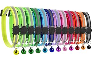 PETYOUNG 12 Stück Katzenhalsbänder mit Glocke, reflektierend fluoreszierend mit Schnellverschluss/Sicherheitsschnalle, Verstellbar 19–32 cm geeignet für die meisten Hauskatzen