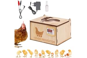 MOGOULUA 9 Eggs Incubator with Water Bed Fully Automatic Incubator Automatic Rotation Hatcher Automatic Water Supply Visible Cover