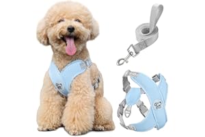Pawaboo Arnés Perros con Correa, Arnes Tipo Chaleco para Perros Pequeños Medianos, Arnés Ajustable Antitirones Transpirable Acolchado de Forma X para Cachorros Gatos Caminar Entrenamiento, M, Azul