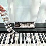 BEATBIT Guida all'apprendimento delle note di pianoforte per principianti, etichette rimovibili per tastiera pianoforte, real