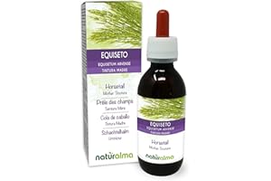 Equiseto o Coda cavallina (Equisetum arvense) erba Tintura Madre analcoolica Naturalma - Estratto liquido gocce 120 ml - Integratore alimentare - Vegano