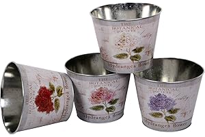 UNUS Nature By Hummingbird Plant Pot Zinc Plant Pot Set of 4 Hydrangea Planter 21 cm