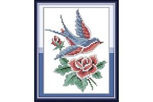 LECZANY Kit de bordado en punto de cruz con estampado de bricolaje, gama completa de kits de inicio preimpresos para principiantes - Pájaros 20 x 25 cm