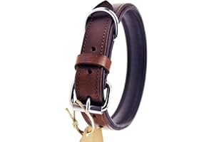 Schnüffelfreunde Obroża skórzana dla psa I Obroża dla psów ze skóry (M - 28-36cm, Brązowa)