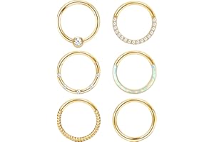 Adramata 6 Pcs 16G 18G Nez Piercing Nez Anneau pour Femme Homme Acier Chirurgical Piercing Nez Helix Tragus Piercing Septum Piercing Cartilage Oreille Piercing Lèvres Anneaux Argent Nez Piercing