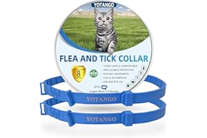 YOTANGO Collar Antipulgas Gatos, Collar Antipulgas y Garrapatas para Gatos, Ajustable Impermeable Collar Antiparasitario Gatos con 8 Meses de Protección Natural para Gatos Medianos y Grandes - Azul