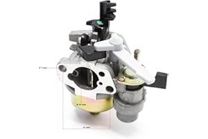 WilTec Pièce détachée LIFAN Carburateur pour Moteur à Essence 6,5 CV