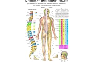 RDIGER- ANATOMIE GMBH Ruediger Anatomie PO44 Meridiane und Dorntherapie Tafel, 50 cm x 70 cm