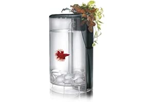 Ocean Free AT620B Kit Betta Flora Led, Negro, con Sistema de Hidroponía, 2 litros