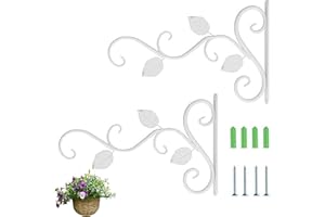 Loopunk Crochet Suspension Plante 2 Pcs Suspension Mural Plante Crochets,Porte Plante Mural,Crochet Panier à Fleurs Mural en Fer Forgé pour Plantes Suspendues/Lanternes/Carillons éoliens(Blanc)