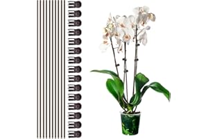 CANIPHA Plant Stake Clip Set Green, Plant Sticks Supplies Support Tall, Useful Support Clips, Fine Workmanship Allow Bending Suitable for Various Plant Pots Indoors and Outdoors (Brown)