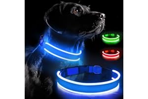 LABEOL LED Dog Collar USB Rechargeable Light up Collar Adjustable Cut to Size Waterproof Stay Safe and Visible Flashing Dog Collar Glow in The Dark for Small Medium Large Dogs (M, Bule)