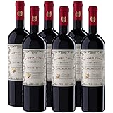 Doppio Passo Primitivo Apulien, Rotwein Italien (6 x 0,75l)