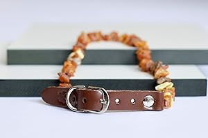AMBER-US Collier Ambre Baltique pour Chiens Et Chats avec Bracelet en Cuir Réglable | Aide à éviter Les tiques et Les puces | en Ambre Baltique Naturel Non Poli (40-45 cm)