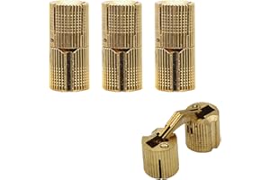 aufodara 4 piezas Bisagra de latón Oculta 12mm, Bisagra de Barril Cilíndrica Ángulo de Apertura de 180 °, para Joyero de Madera y Puertas de Armario de Muebles (Ø 12 mm)