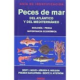 PECES DE MAR. GUIA DE IDENTIFICACION (GUIAS DEL NATURALISTA-PECES-MOLUSCOS-BIOLOGIA MARINA)