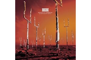 Origin of Symmetry (XX Anniver