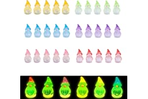 Goiern 30 Pezzi Mini Gnomi in Resina Luminosi Giardino Gnomi Piccoli Statua di Fata Figures Che Brillano al Buio Miniature GNOME Decorazione per Paesaggio Esterno Terrazz