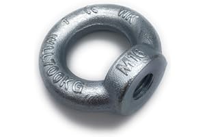 BEFESTIGUNGSTECHNIK F.R. Ringmutter galvanisch Verzinkt C15 - M16-5 Stück - Traglast: 700kg [ Größe Wählbar M6 M8 M10 M12 M16] Kranöse Zurröse Ösenmutter Augenmutter ähnl. DIN 582 (M16)