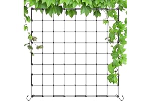 FAELNK Wachsen Zelt Netz Growzelt Elastisches Ranknetz 80x80 mit 4 Haken für Kletterpflanzen