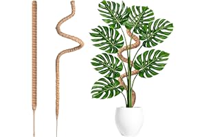 2 stycken mosspinne för monstera spaljé, 60 cm flexibel mossstav monstera för växtstavar, kokospinne, växtstavar, klättringsv