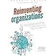 Reinventing Organizations: An Illustrated Invitation to Join the Conversation on Next-Stage Organizations