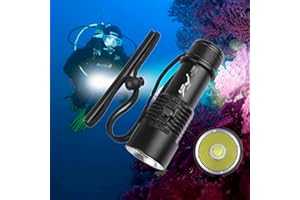 WINDFIRE Torcia Subacquea 6000 Lumen Super Luminosa 3 Modalità, Torcia LED per Immersione Professionale da 100 m, Luci di Sicurezza Impermeabili IPX8 Torcia con Batteria Ricaricabile e Caricabatterie