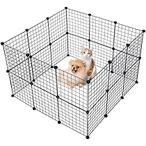 large kitten pen