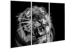 islandburner Cuadro Moderno en Lienzo Tigre de Sumatra Depredador Cuadros Decoracion Cocina Salon