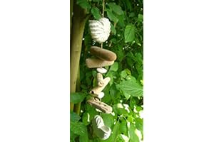 Deko-Impresion Treibholzhänger Nautilus, Muscheln mediterrane Girlande, Weiss maritim