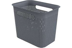 Rotho Brisen caja de almacenamiento estrecha 7l con 2 asas, Plástico (PP) sin BPA, antracita, 7l (26.2 x 18.0 x 21.1 cm)