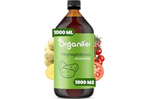 Concentré Phytophthora - 1000 Ml Pour 1000 M2 - Produit Pour Pommes De Terre Et Tomates - Entretien Des Plantes - Engrais Végétal - Organifer