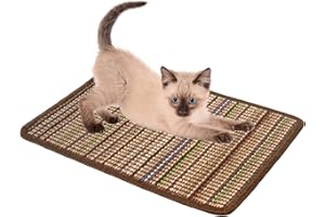GOTANC Tappetino antigraffio per gatti, in sisal naturale, 40 x 30 cm, antiscivolo e resistente all'usura, per gatti protegge divani e tappeti. Nota: colori e strisce sono casuali