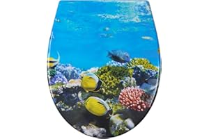 Fanmitrk Duroplast Toilet Seat Soft Close -Quick Release Toilet Lid with Top Fixing,Various Patterns to Choose from (UF819-48)