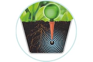 Plantpal Pack of 2 Watering Globes - Automatic Plant Watering Bulbs - Self Watering System - Garden Pot Waterers for Indoor Plants - Holiday Plant Watering Spikes & Feeders.