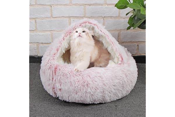 DG Catiee Lit en forme d'igloo pour chats de petite taille, apaisant, doux, chaud, pour intérieur, chats, chiots et petits chiens (peluche, 50 cm, rose)
