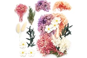 MENGYF Decorative Artificial Flowers Artificial Everlasting Flowers Real Dried Flowers Leaves Natural Dried Flowers for DIY Jewellery Crafts Nail Art Scrapbooks (Purple)