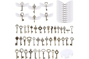 LXYANW 50 Stk Vintage Schlüssel Deko Antiken Schlüssel Charms, Deko Anhänger Schlüssel mit 50 Paar Libellenflügeln und 30 m Kristallschnur für Halskette Herstellen Schmuck Basteln Hochzeit Deko